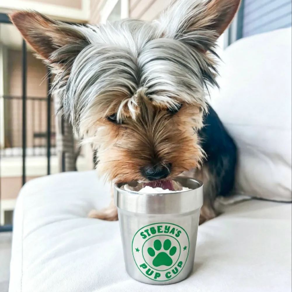 Personalized Stainless Steel Dog Treat Cup Mug | MNFeed45