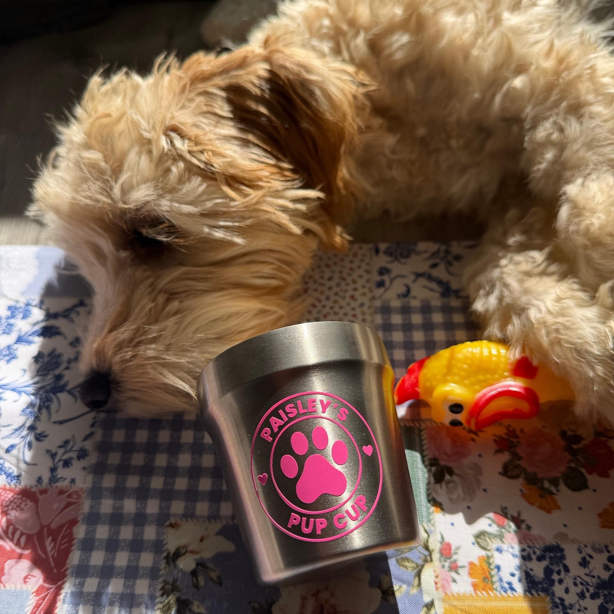 Personalized Stainless Steel Dog Treat Cup Mug | MNFeed45