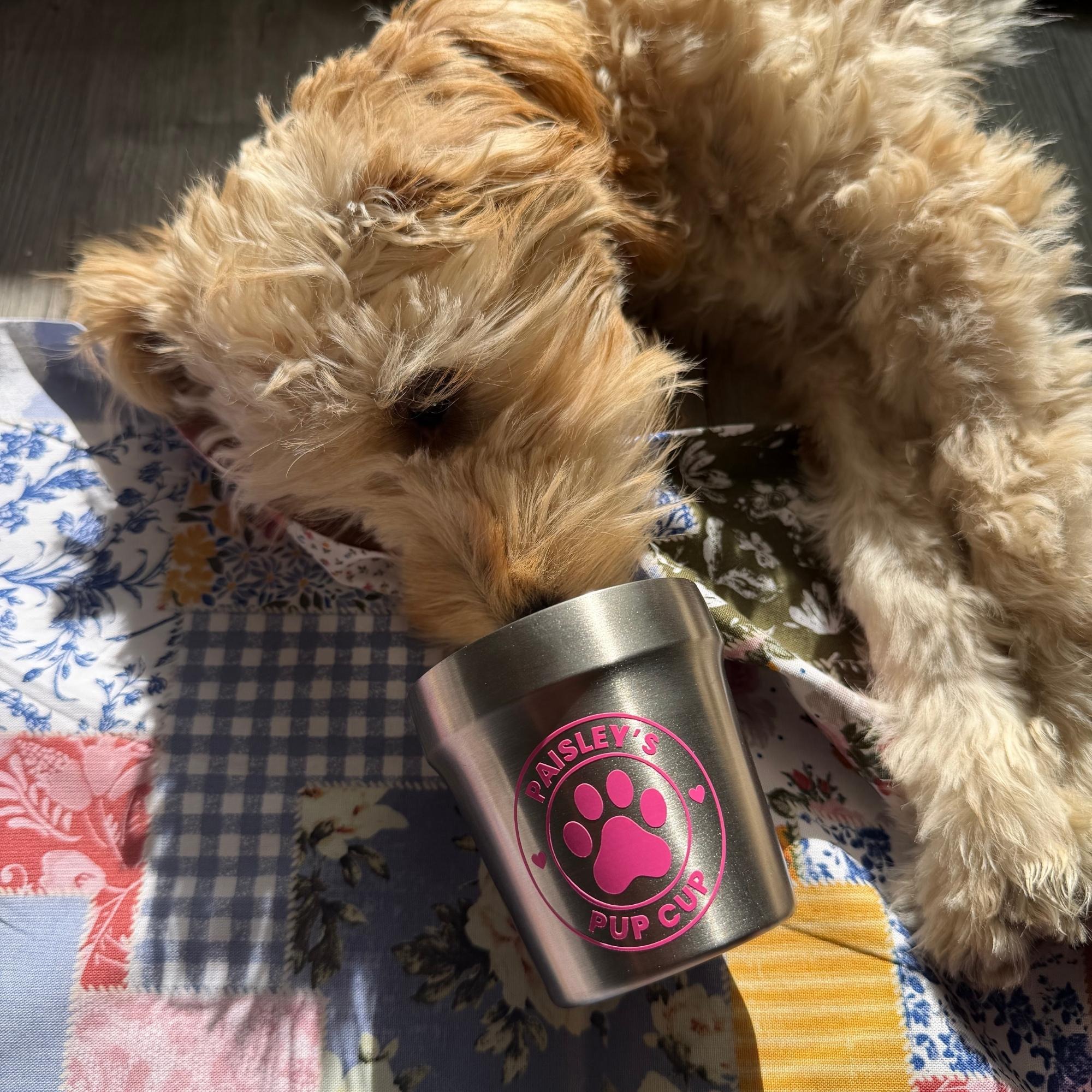 Personalized Stainless Steel Dog Treat Cup Mug | MNFeed45
