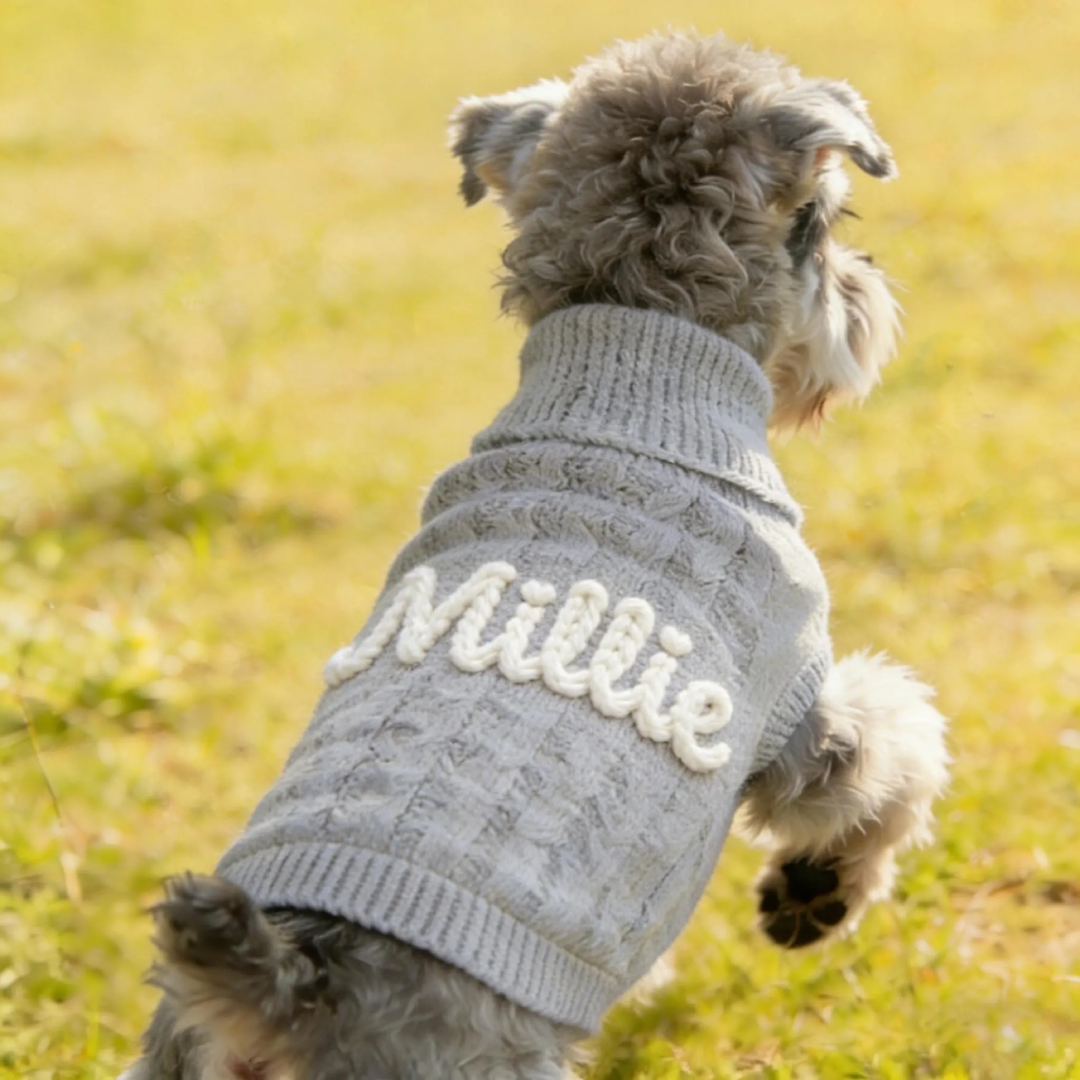 Personalized Embroidered Chunky Knit Dog Sweater | MNCloth246