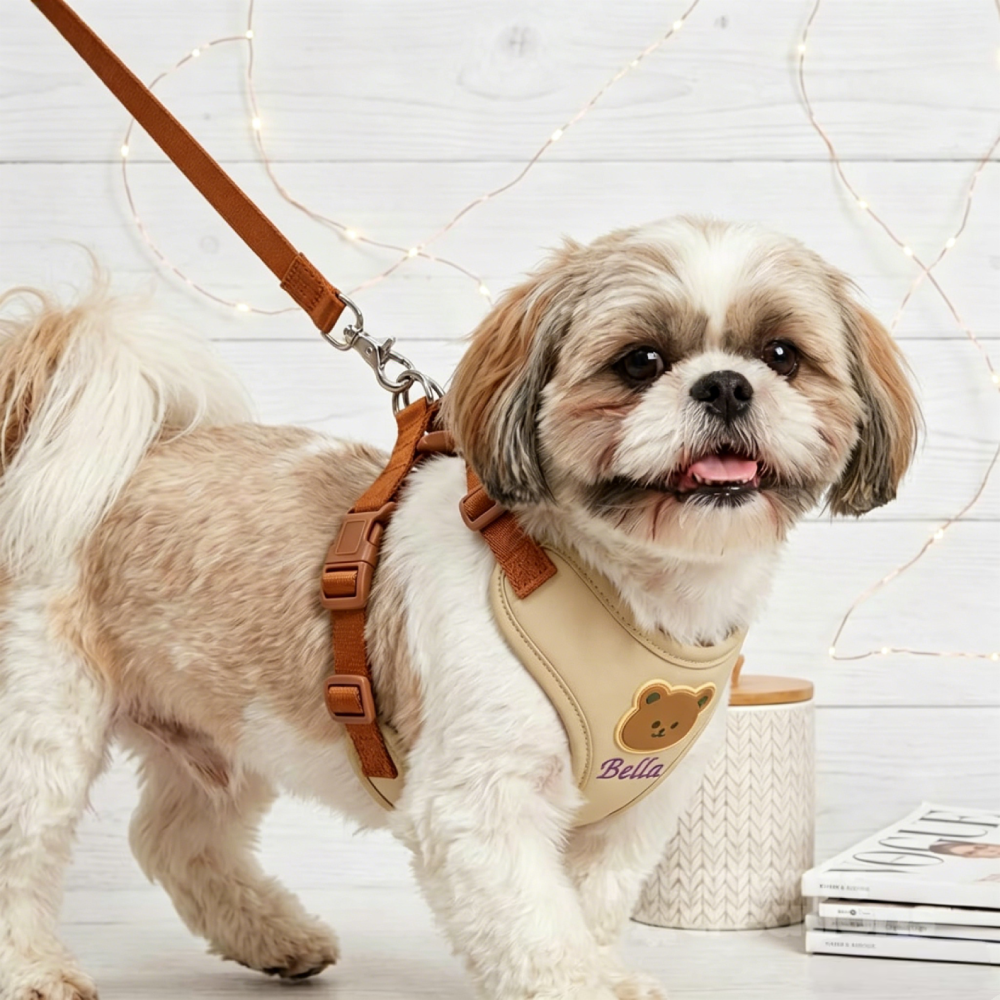 Personalized Embroidered Bear Patch Padded Dog Harness & Leash Set | MNAccs107