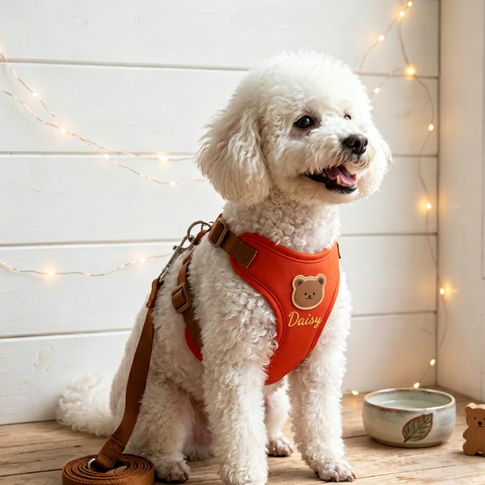 Personalized Embroidered Bear Patch Padded Dog Harness & Leash Set | MNAccs107
