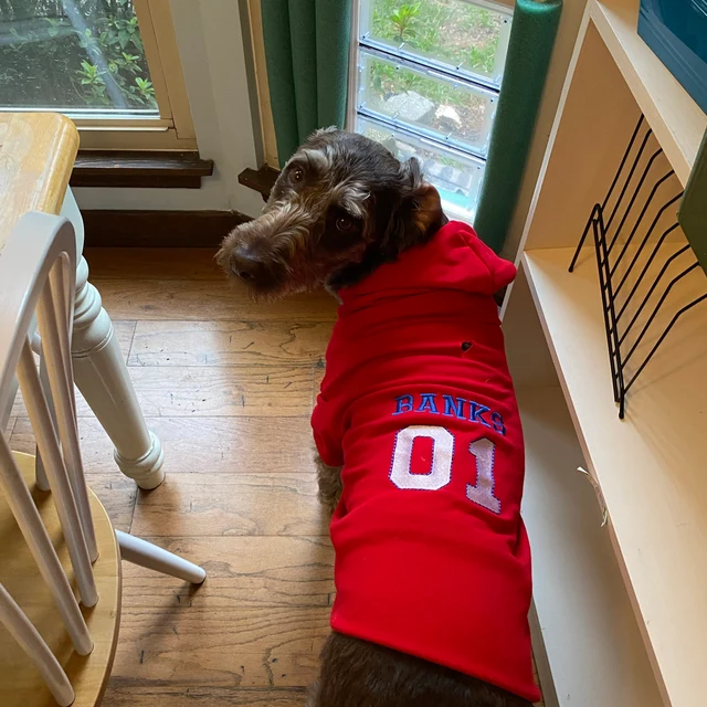 Personalized Warm Puppy Hoodie for Comfort & Unique | BKPet28