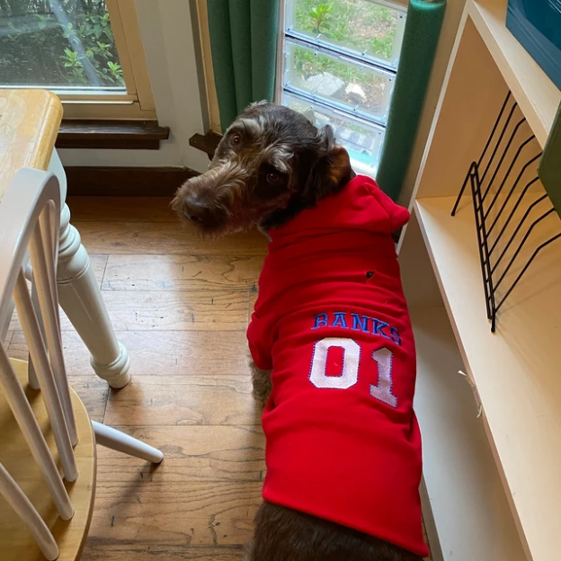 Personalized Warm Puppy Hoodie for Comfort & Unique | BKPet28