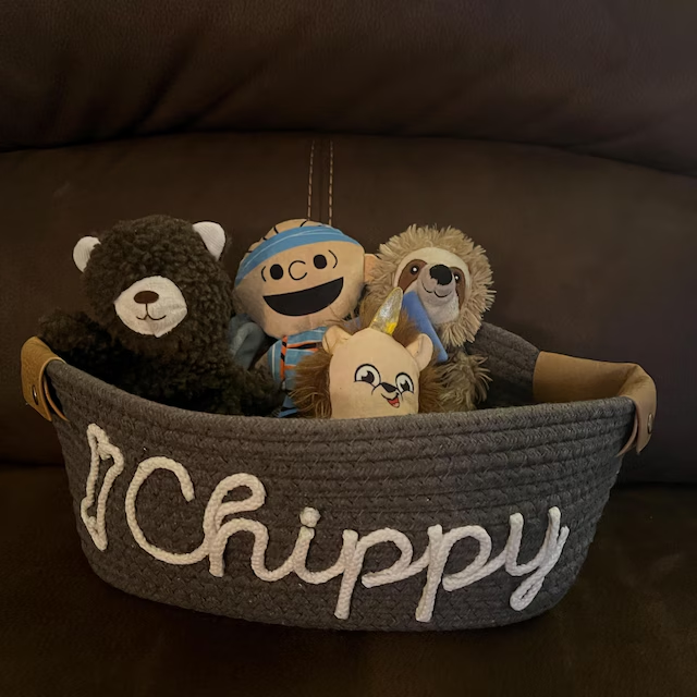 Personalized Knitted Wire Name Cotton Pet Rope Basket | BKPet90