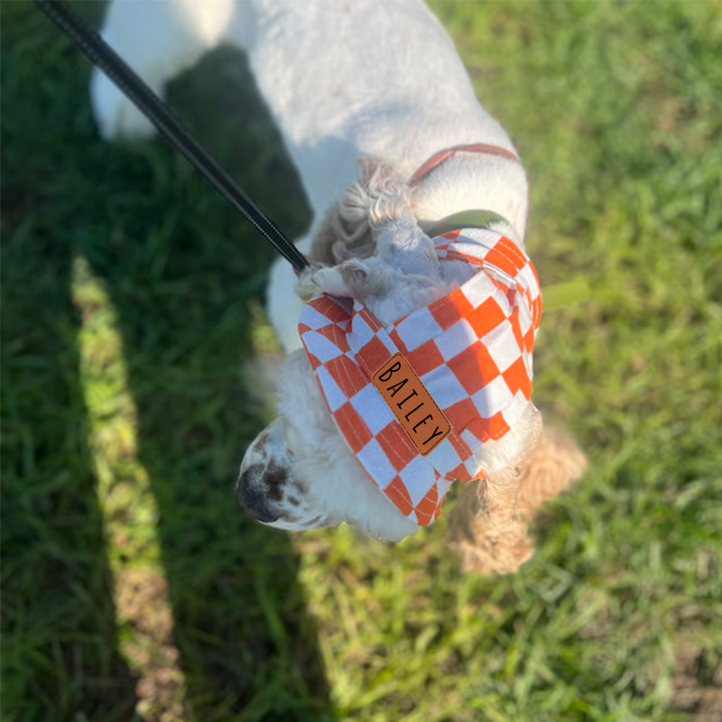 Personalized Leather Patch Pet Sun Hat with Ear Holes | BKPet67