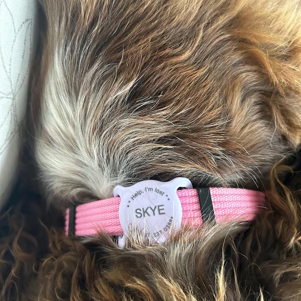 Personalized Pet Apple Air Tag Holder for Dog Collar | BKPet139