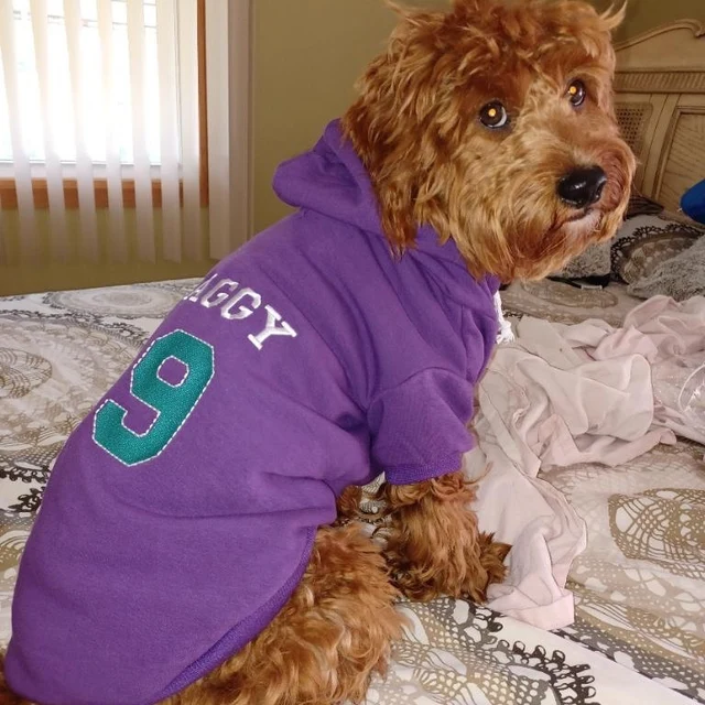 Personalized Warm Puppy Hoodie for Comfort & Unique | BKPet28