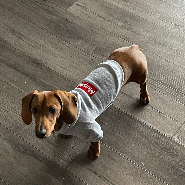 Personalized Warm Puppy Hoodie for Comfort & Unique | BKPet32