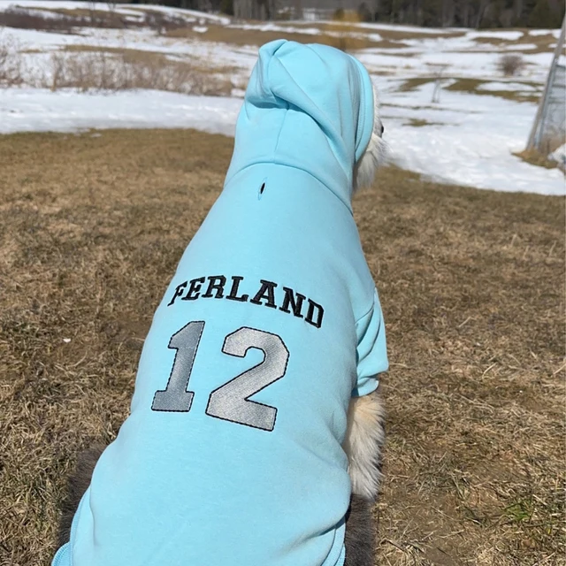 Personalized Warm Puppy Hoodie for Comfort & Unique | BKPet28