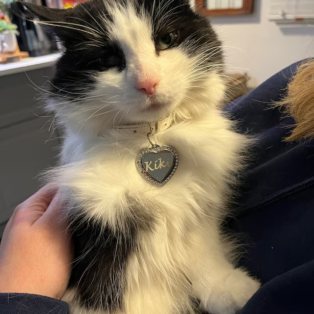 Personalized Heart Shape with Clear Rhinestones Pet Tag | BKPet84