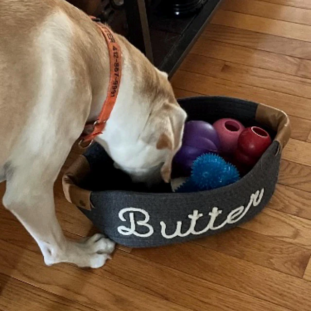 Personalized Knitted Wire Name Cotton Pet Rope Basket | BKPet90