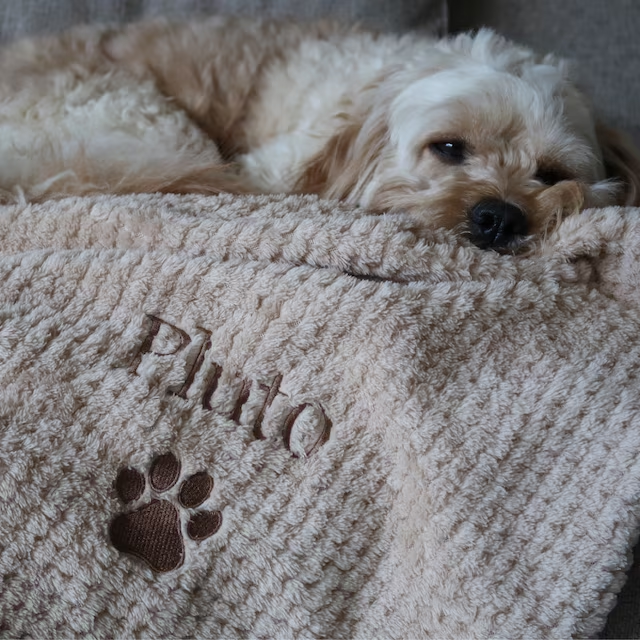 Personalized Warm Pet Blanket for Comfort & Unique | BKPet17