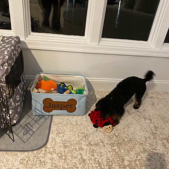 Personalized Leather Patch Pet Fabric Toy Basket | BKPet53