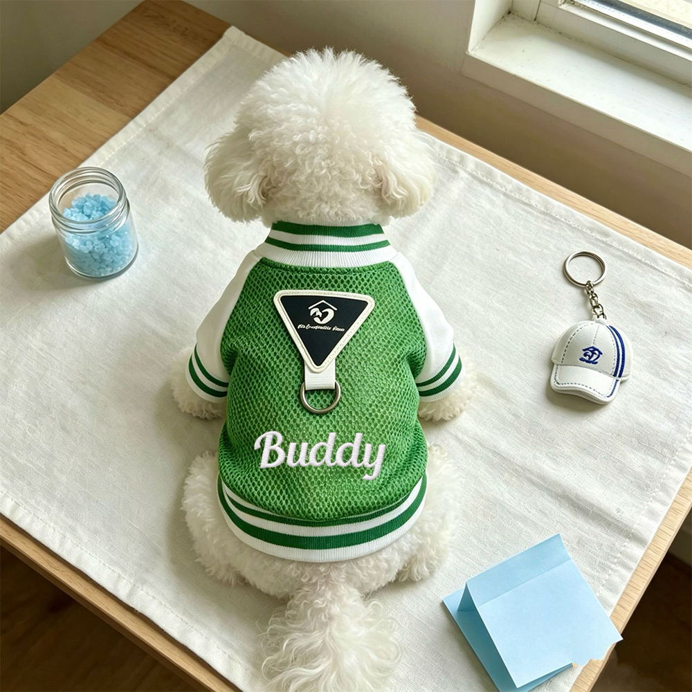 Personalized Embroidered Breathable Mesh Dog Baseball Jacket for Summer | MNCloth242