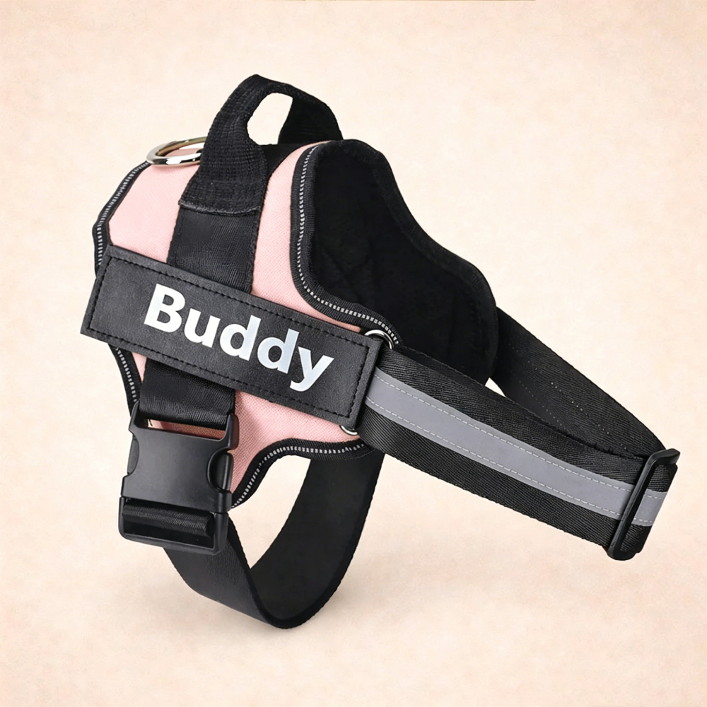 Personalized Explosion-Proof Reflective Dog Harness | MNAccs110