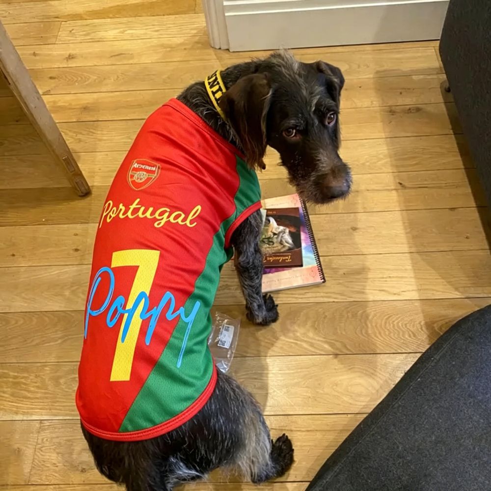 Personalized Dog & Cat Soccer Fan Sporty Vest | MNCloth216