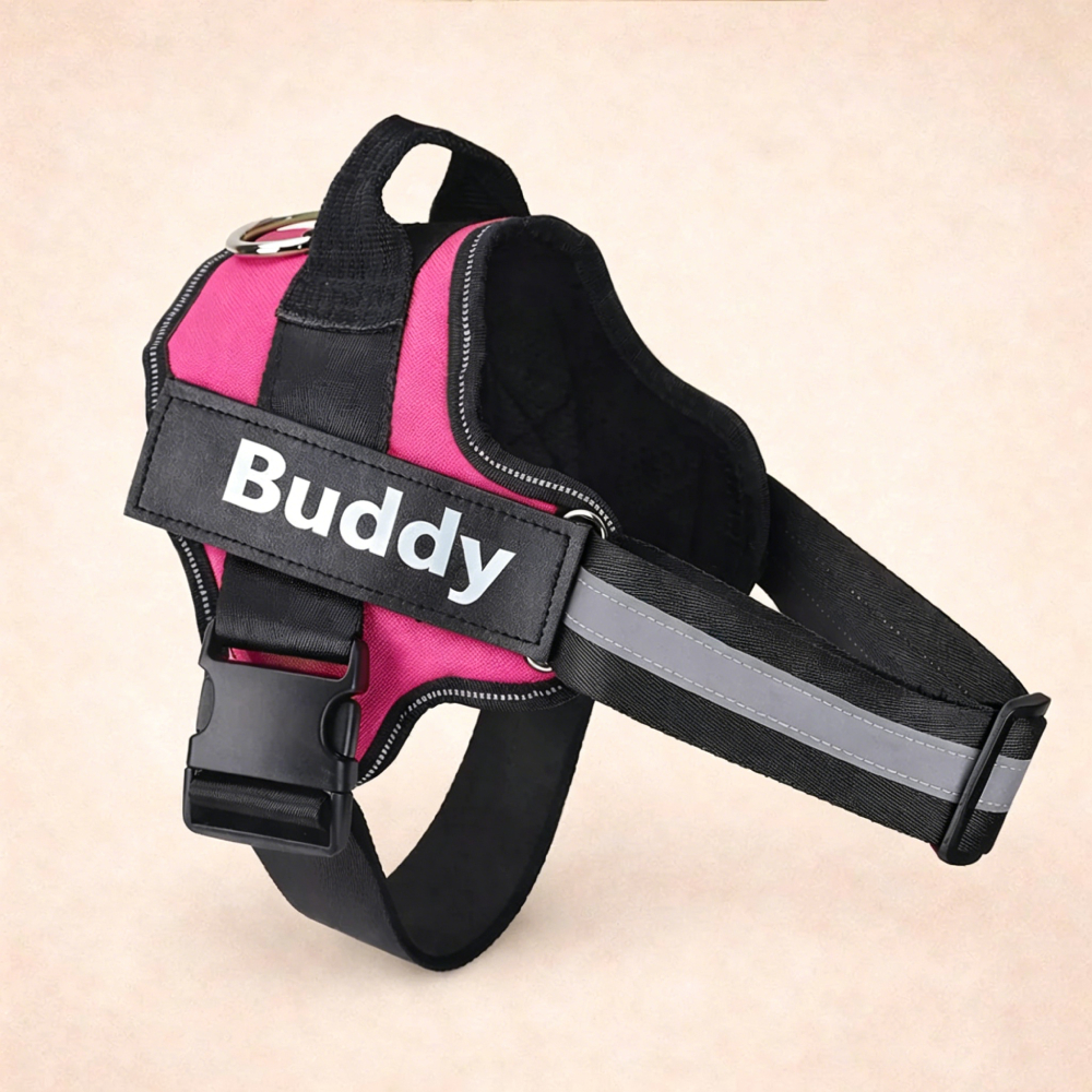 Personalized Explosion-Proof Reflective Dog Harness | MNAccs110