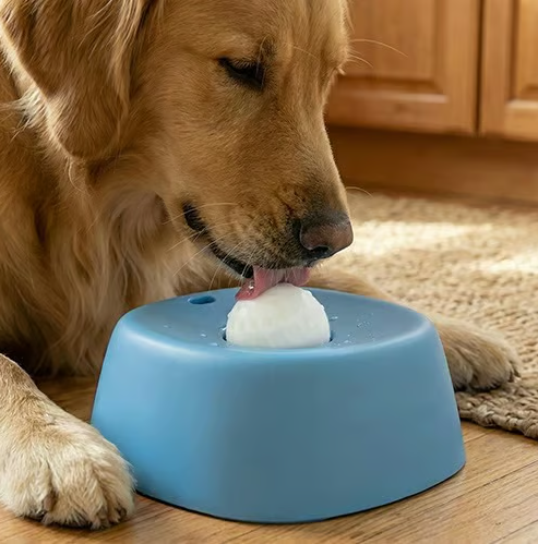 🔥Limited time discount🔥Slow-Feed Liquid Dog Bowls