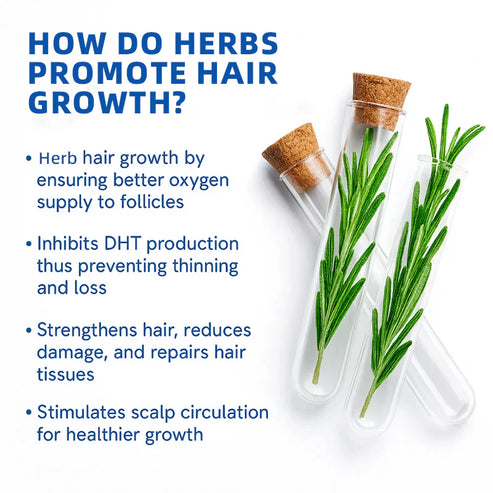 Nodiinfuse@ Hair GrowthRoll-On Serum