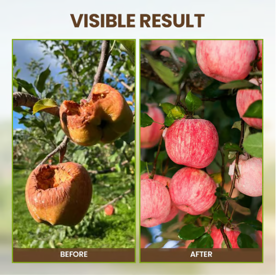 🔥seasonal Promotion🔥soil Pro Activator