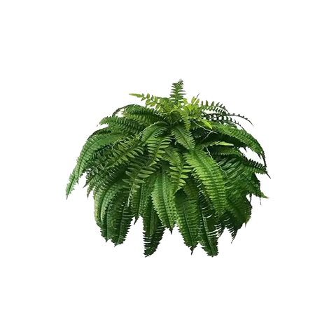 🔥 Mother’s Day Flash Sale 🌱 UV Resistant Ferns Artificial Plants Large for Planters, Office & Home Decor, Outdoor & Indoor