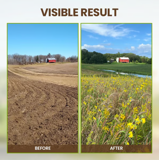 🔥seasonal Promotion🔥soil Pro Activator