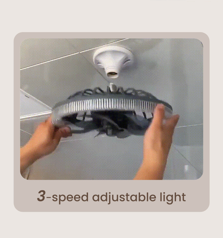 Affordable Ceiling Fan Upgrade