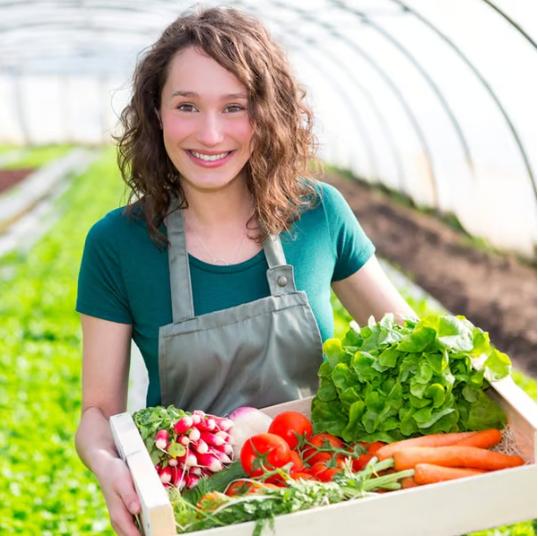 🔥seasonal Promotion🔥soil Pro Activator