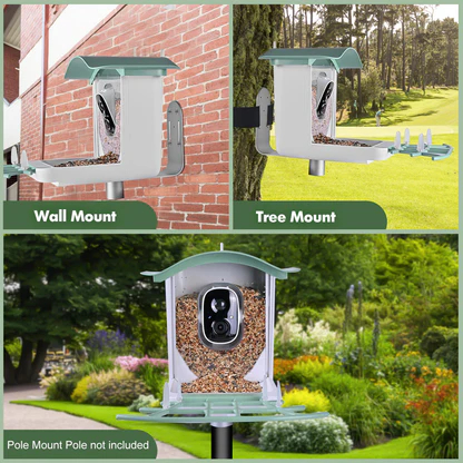 {"default":"NestBirdy Smart AI Bird Feeder"}
