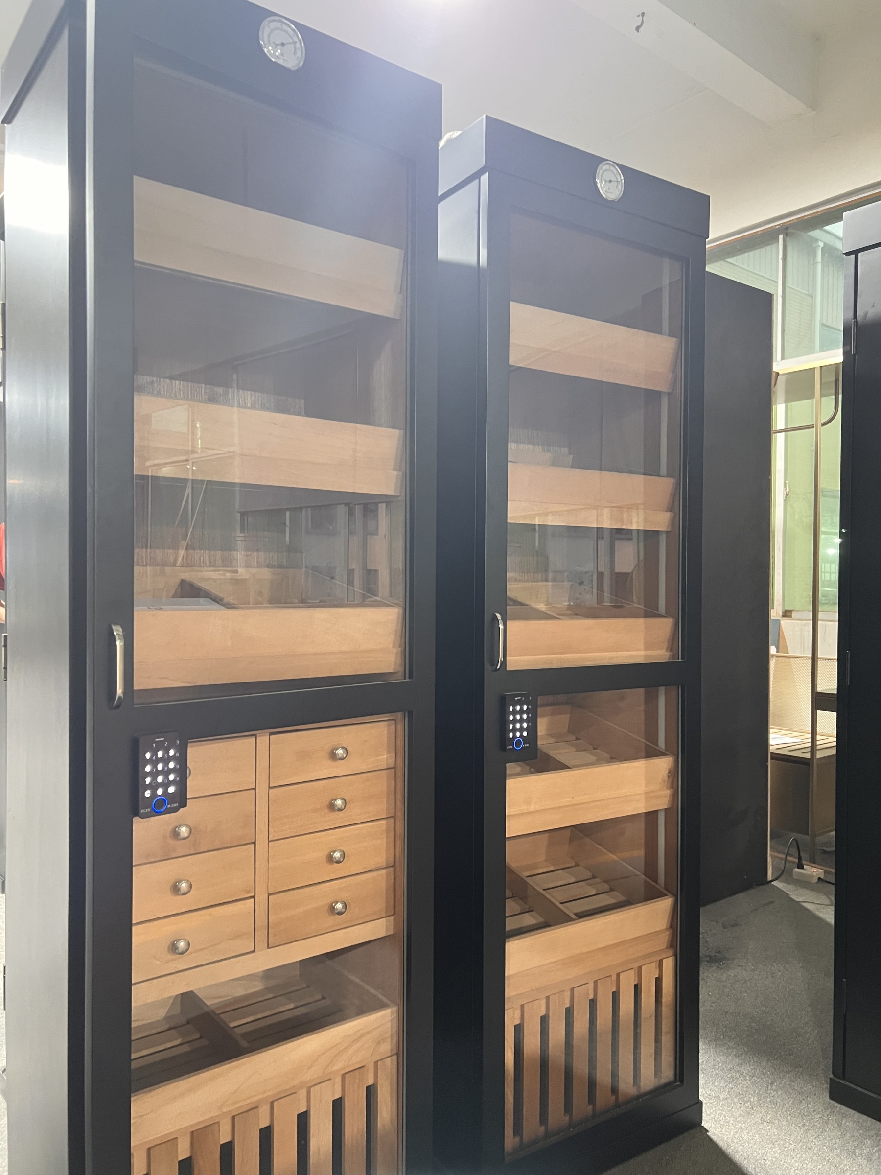 Single Door Fingerprint Cigar Humidor Cabinet