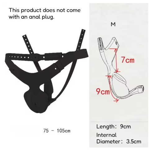 High Quality Detachable Chastity Belt Male To Female Chastity Cage Cb Penis Lock BDSM with Anal Plug Sissy Sexual Restraint Toys
