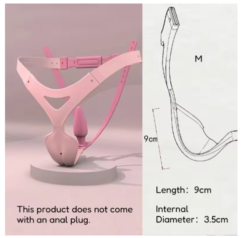 High Quality Detachable Chastity Belt Male To Female Chastity Cage Cb Penis Lock BDSM with Anal Plug Sissy Sexual Restraint Toys
