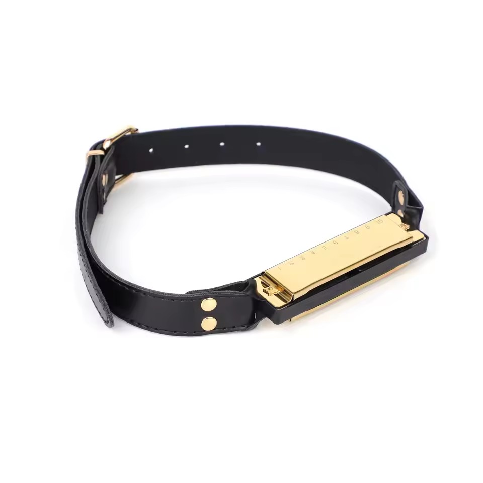 Erotic Mouth Gag in The Shape of A Harmonica Couples' Teasing and Flirting Alternative Restraint Ball Gag Adult Sex Toy Pope Sex