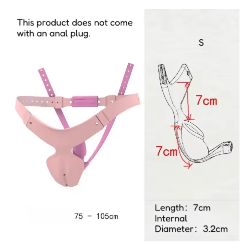 High Quality Detachable Chastity Belt Male To Female Chastity Cage Cb Penis Lock BDSM with Anal Plug Sissy Sexual Restraint Toys
