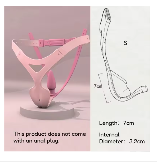 High Quality Detachable Chastity Belt Male To Female Chastity Cage Cb Penis Lock BDSM with Anal Plug Sissy Sexual Restraint Toys