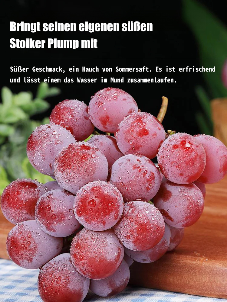 Queen Nina Traubenkerne mit Noten von hochwertigem Rotwein