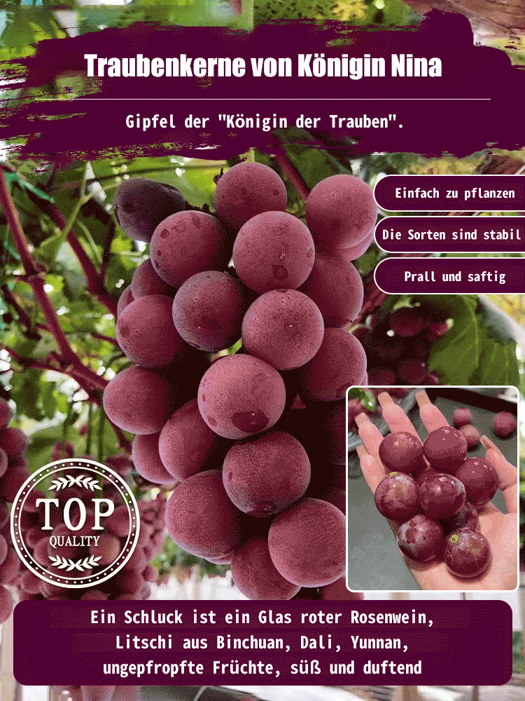 Queen Nina Traubenkerne mit Noten von hochwertigem Rotwein