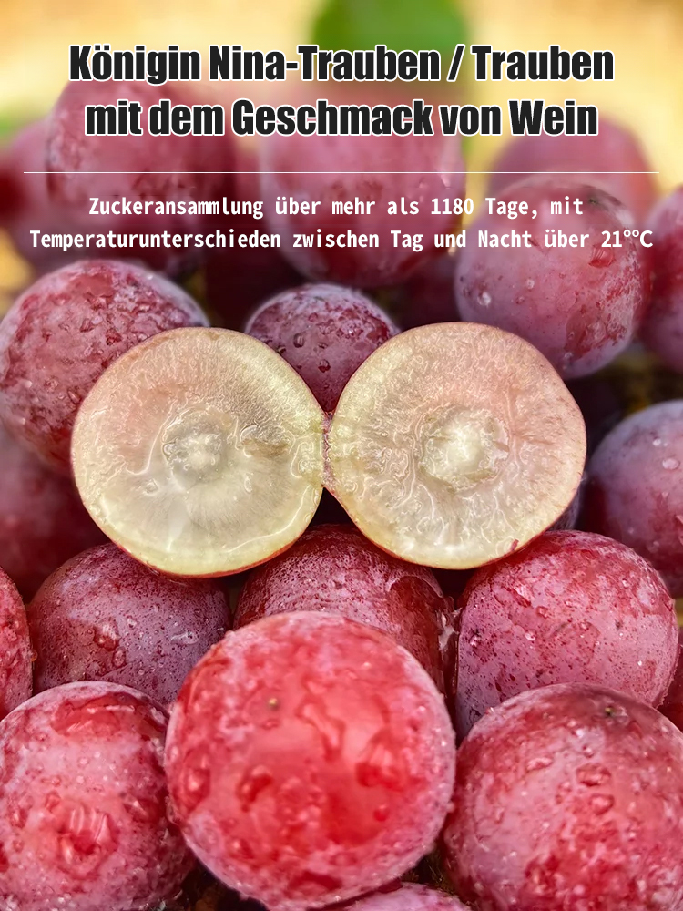 Queen Nina Traubenkerne mit Noten von hochwertigem Rotwein