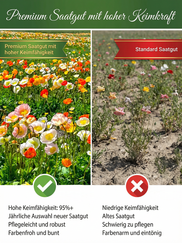 【Vier Jahreszeiten in voller Blüte】Blumenmeer-Samenmischung