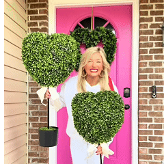 ❤️Valentine's Day Decorative Plants