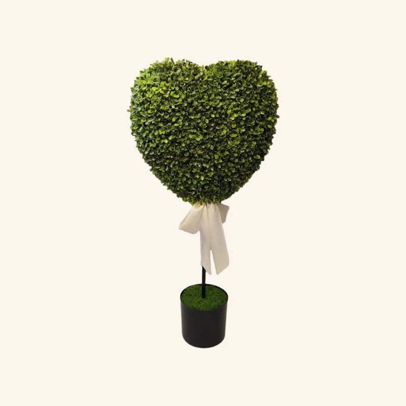 ❤️Valentine's Day Decorative Plants