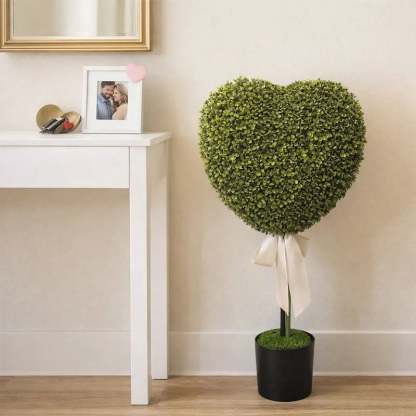 Valentine's Day Decorative Plants