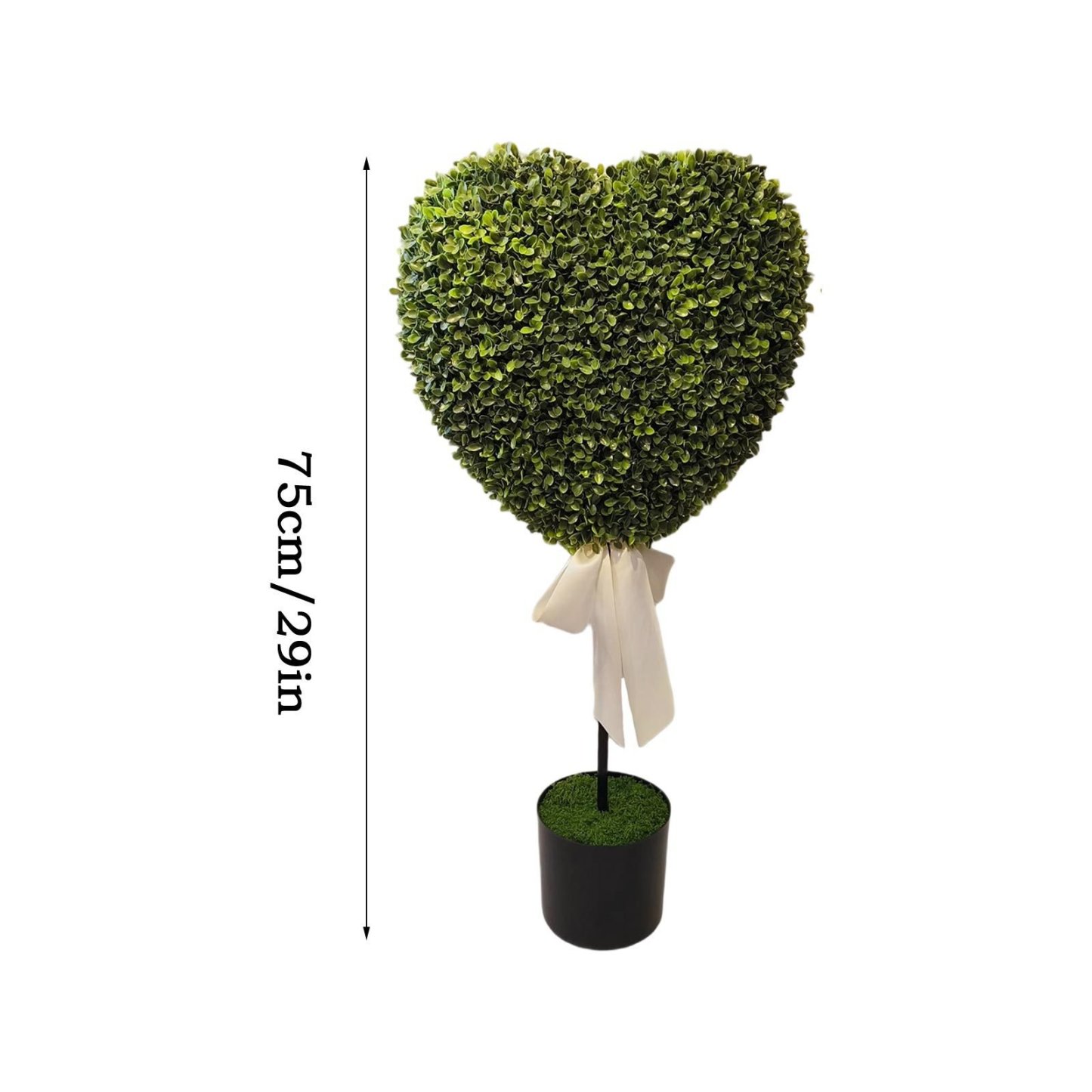 Valentine's Day Decorative Plants