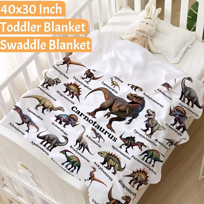 Dinosaur Blanket Gifts for Boys, Jurassic Dino Throw Blanket Gifts for Baby Girls Decor Animal Wild Plush Soft Lightweight Flannel Fleece Dinosaurs Blankets Sheet for Nursery Stroller Toddler 40x30In