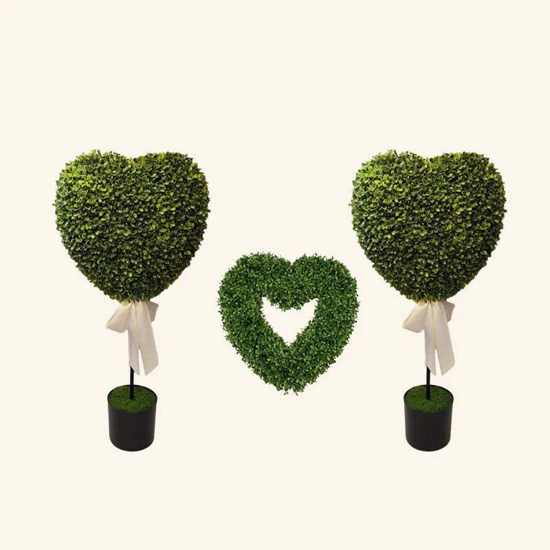 Valentine's Day Decorative Plants