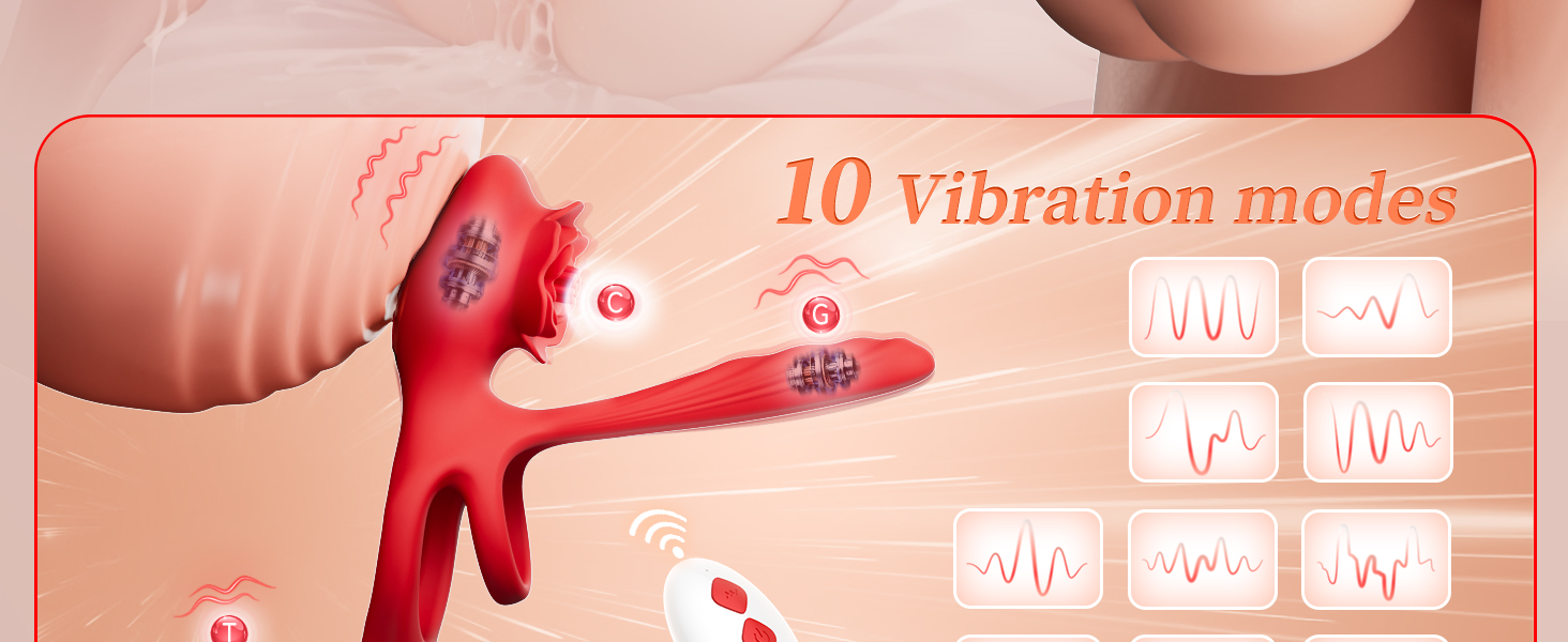 vibrator