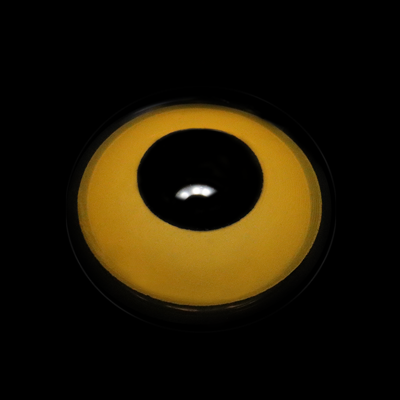 Cosplay Block Orange Coloured Contact Lenses