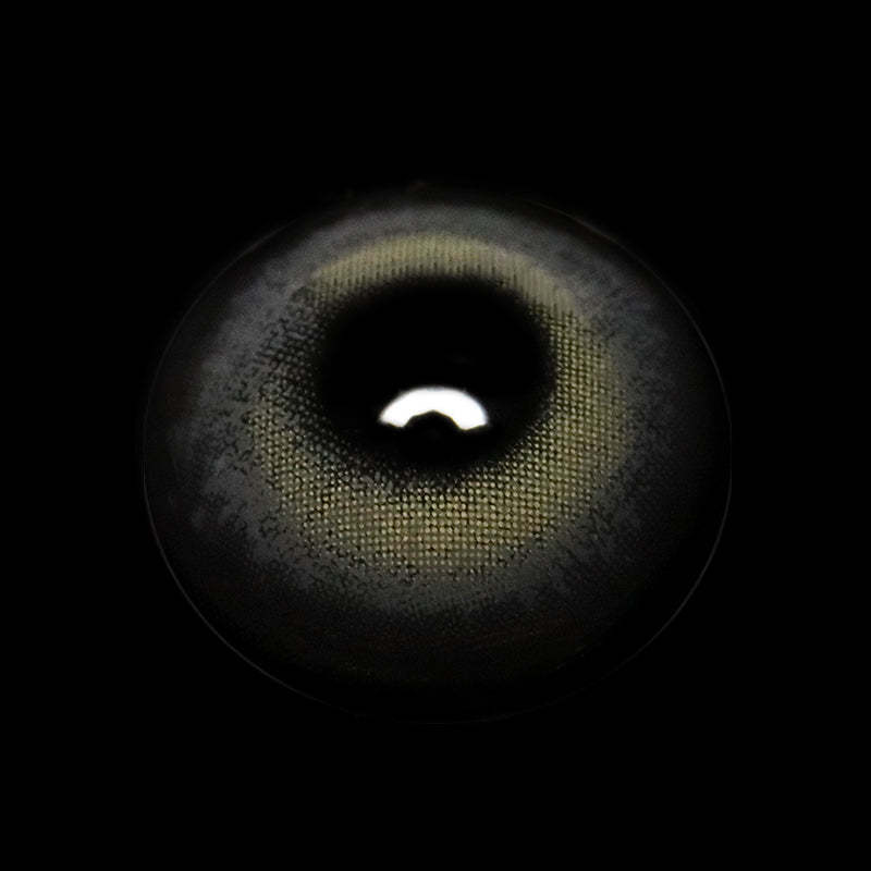 Sidra Gray Coloured Contact Lenses