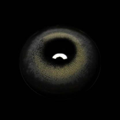 Sidra Gray Coloured Contact Lenses